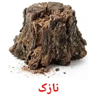 نازک flashcards illustrate