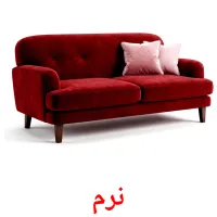 نرم flashcards illustrate