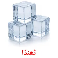 ٹھنڈا flashcards illustrate