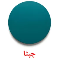 چپٹا flashcards illustrate