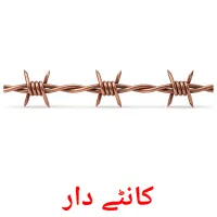 کانٹے دار flashcards illustrate