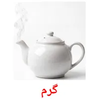 گرم flashcards illustrate