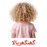 گھنگھریالا flashcards illustrate