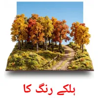 ہلکے رنگ کا flashcards illustrate