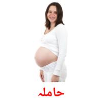 حاملہ card for translate
