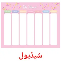 شیڈیول flashcards illustrate