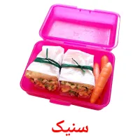 سنیک picture flashcards