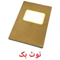 نوٹ بک picture flashcards