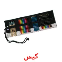 کیس picture flashcards