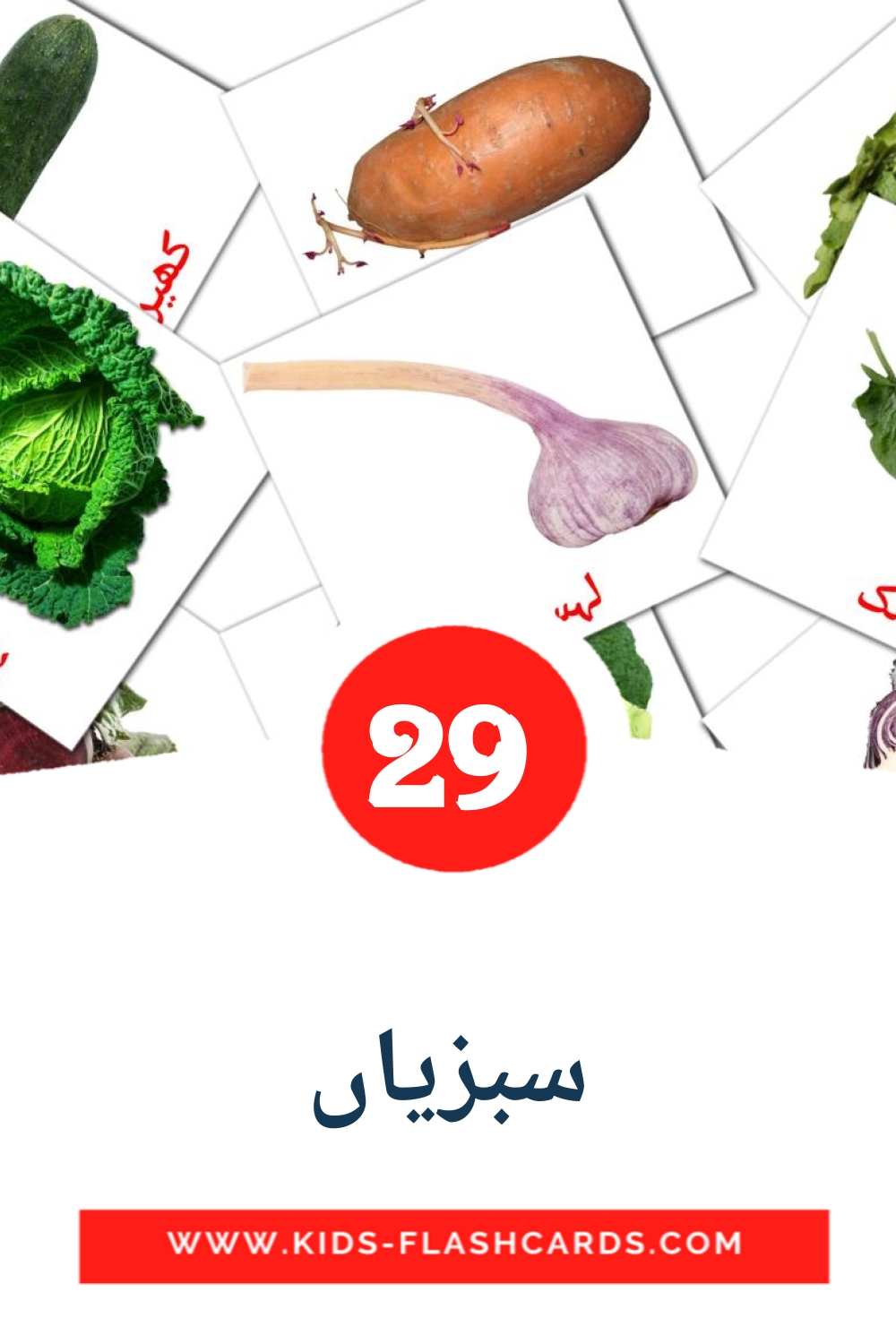 29 cartes illustrées de سبزیاں pour la maternelle en ourdou