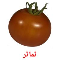 ٹماٹر card for translate