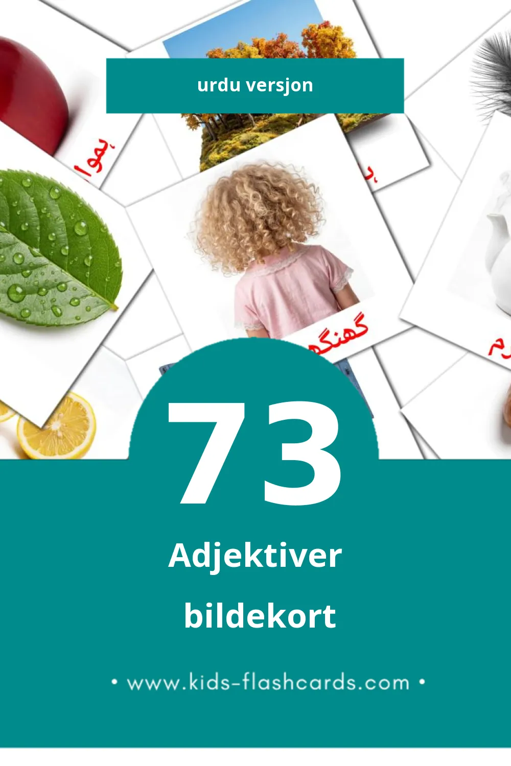 Visuelle صفت bildekort for småbarn (73 kort på Urdu) Visuelle صفت bildekort for småbarn (73 kort på Urdu)
