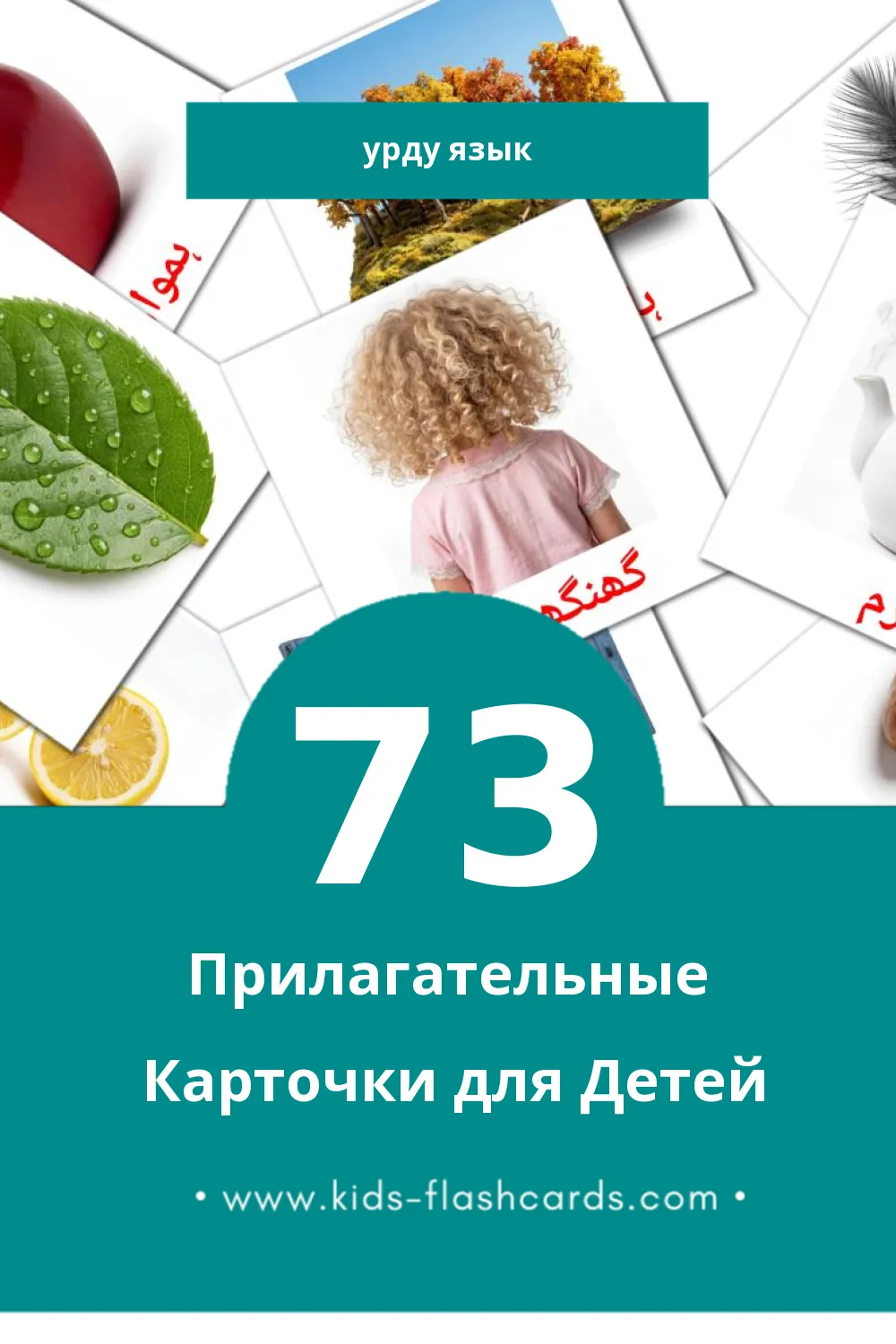 "صفت" - Визуальный Урду Словарь для Малышей (73 картинок) "صفت" - Визуальный Урду Словарь для Малышей (73 картинок)