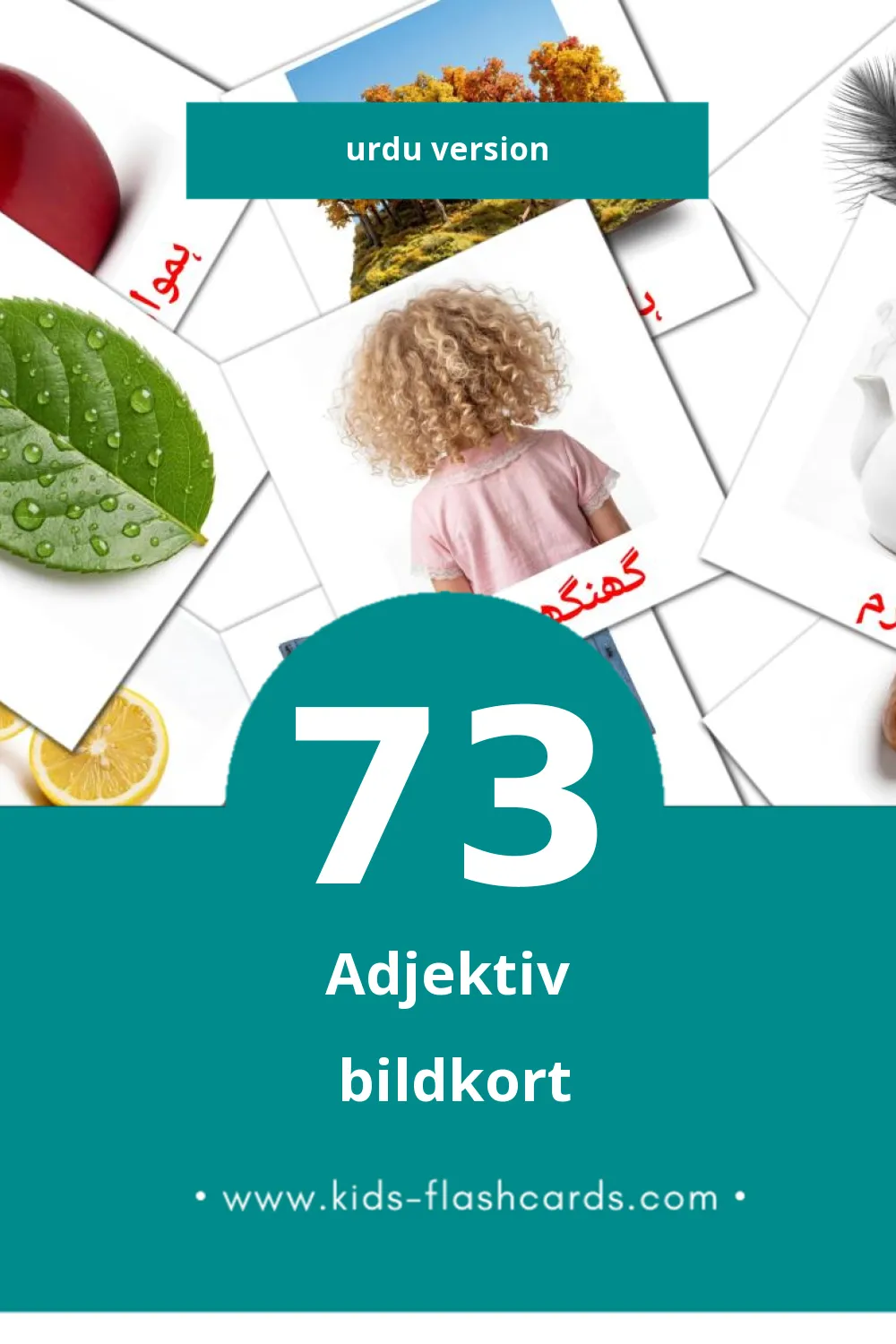 Visuella صفت för småbarn (73 bildkort för barn på Urdu) Visuella صفت för småbarn (73 bildkort för barn på Urdu)