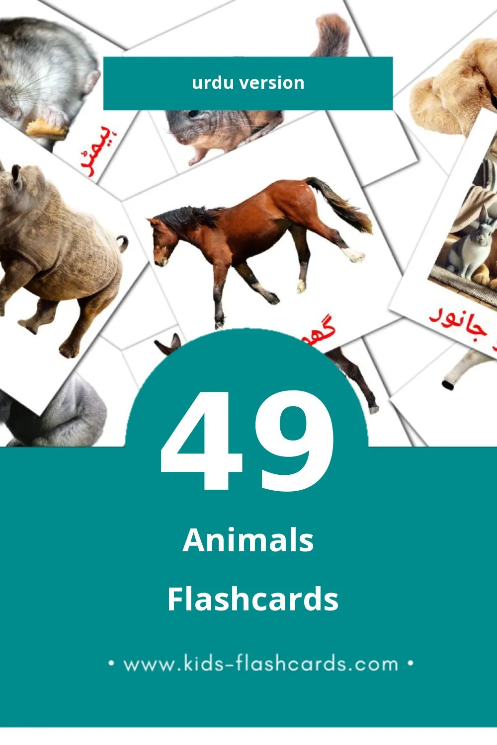 Visual جانور Flashcards for Toddlers (49 cards in Urdu)