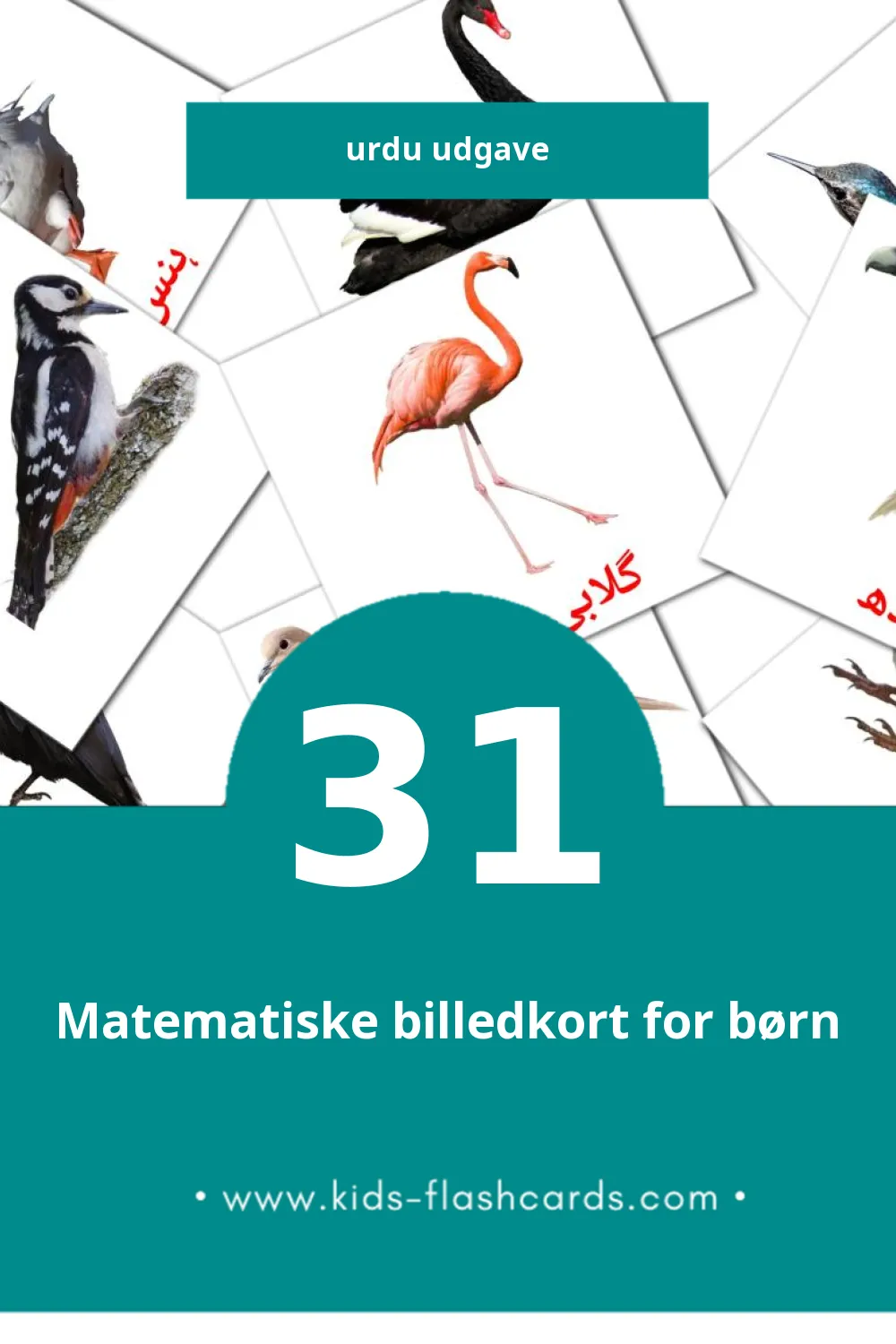 Visuelle billedkort for børn om چڑیاں til småbørn (31 kort på Urdu)