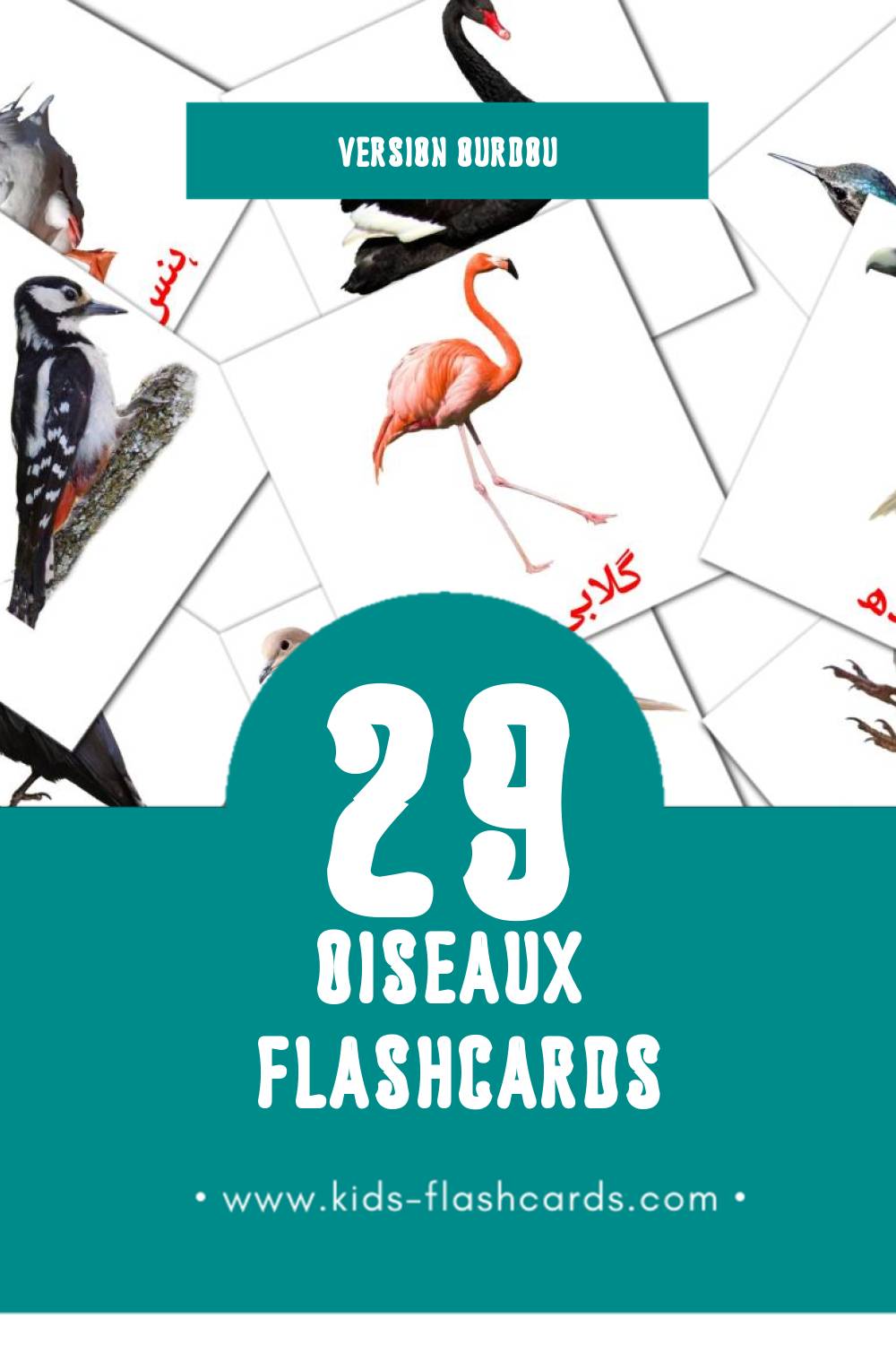 Flashcards Visual چڑیاں pour les tout-petits (29 cartes en Ourdou)