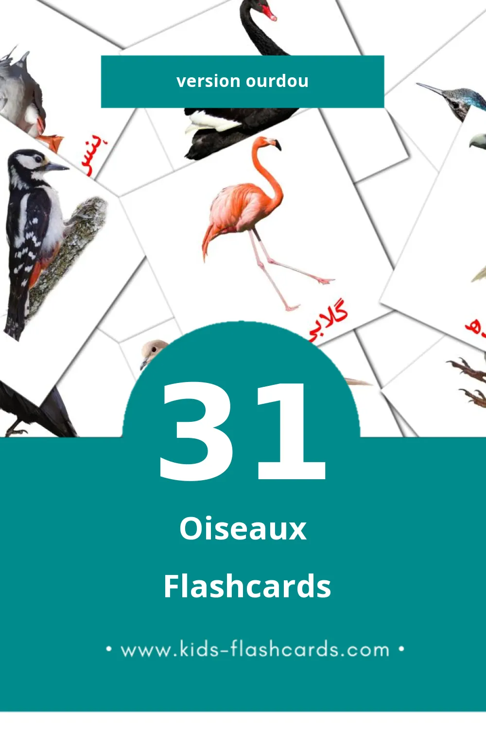 Flashcards Visual چڑیاں pour les tout-petits (31 cartes en Ourdou)