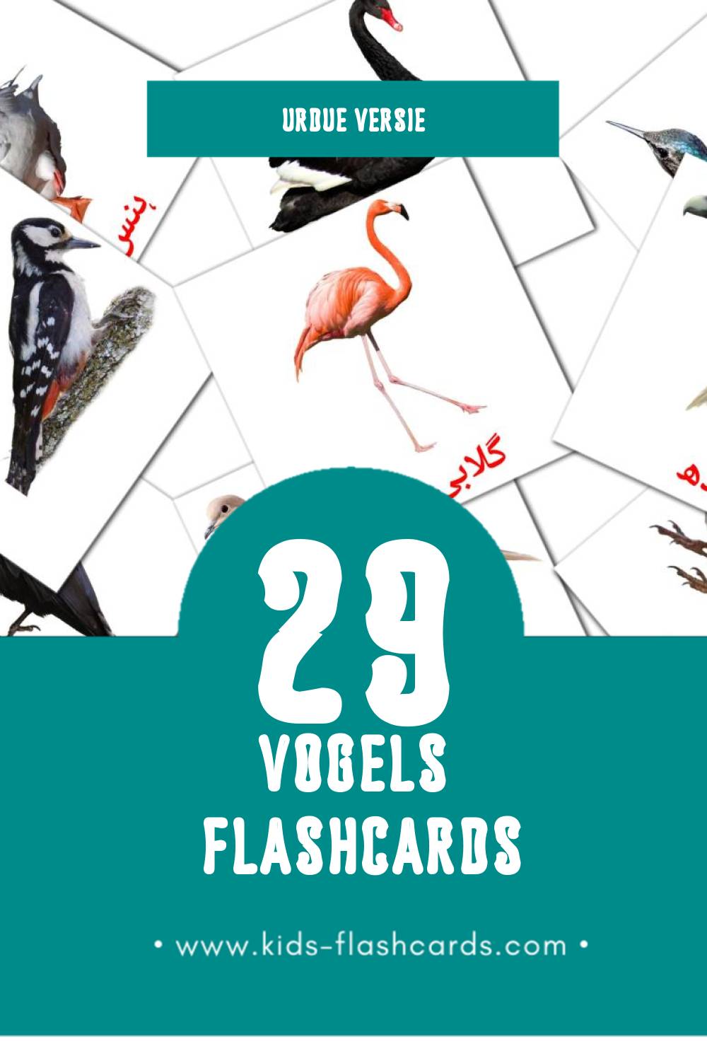 Visuele چڑیاں Flashcards voor Kleuters (29 kaarten in het Urdu)