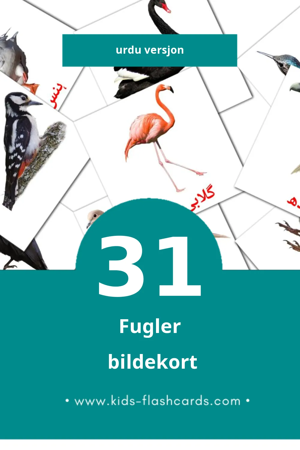 Visuelle چڑیاں bildekort for småbarn (31 kort på Urdu)