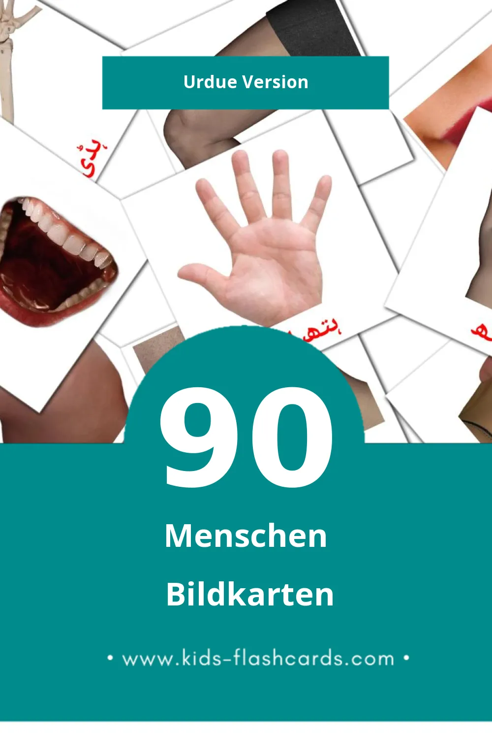 Visual لوگ Flashcards für Kleinkinder (90 Karten in Urdu)