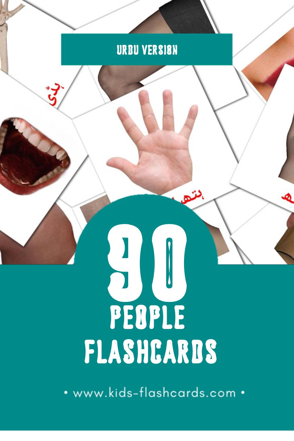 Visual لوگ Flashcards for Toddlers (90 cards in Urdu)