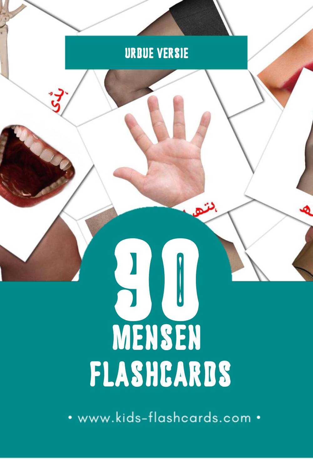 Visuele لوگ Flashcards voor Kleuters (90 kaarten in het Urdu)