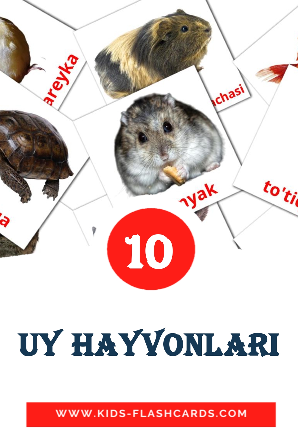 10 cartes illustrées de Uy hayvonlari pour la maternelle en ouzbek