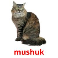 mushuk card for translate