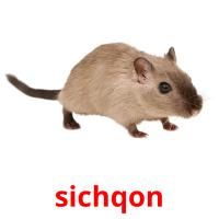 sichqon card for translate