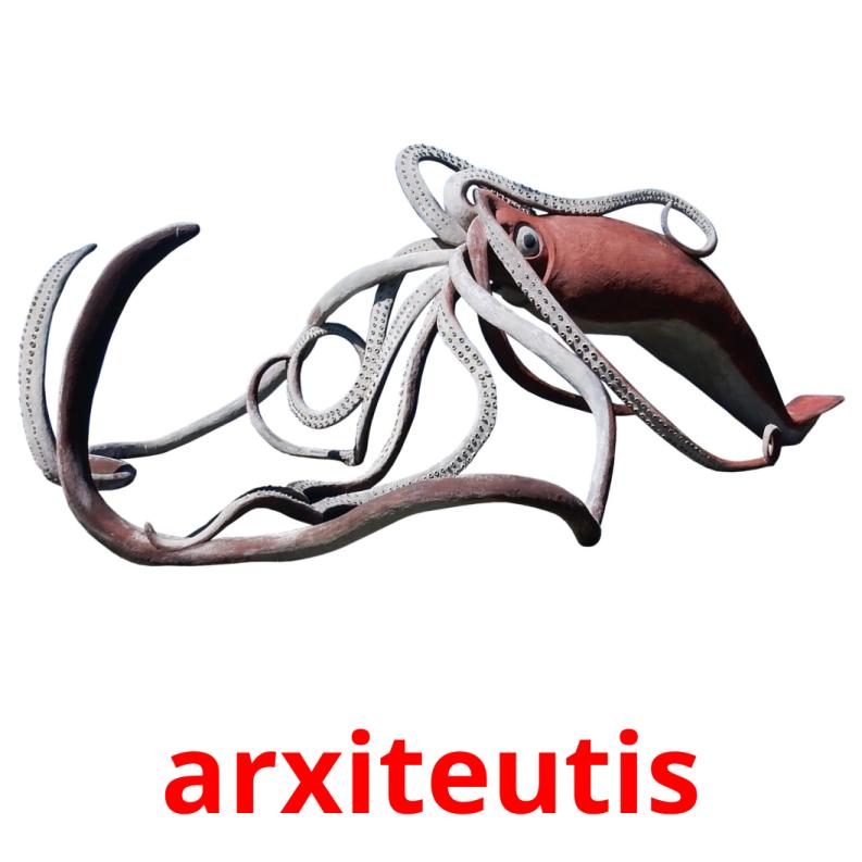 arxiteutis picture flashcards