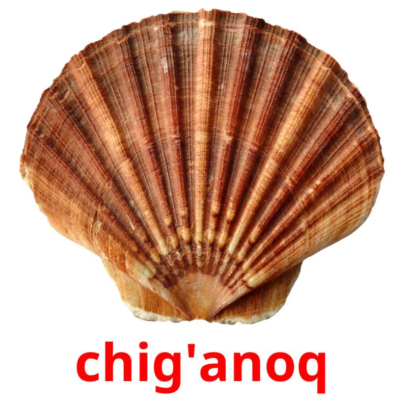 chig'anoq picture flashcards