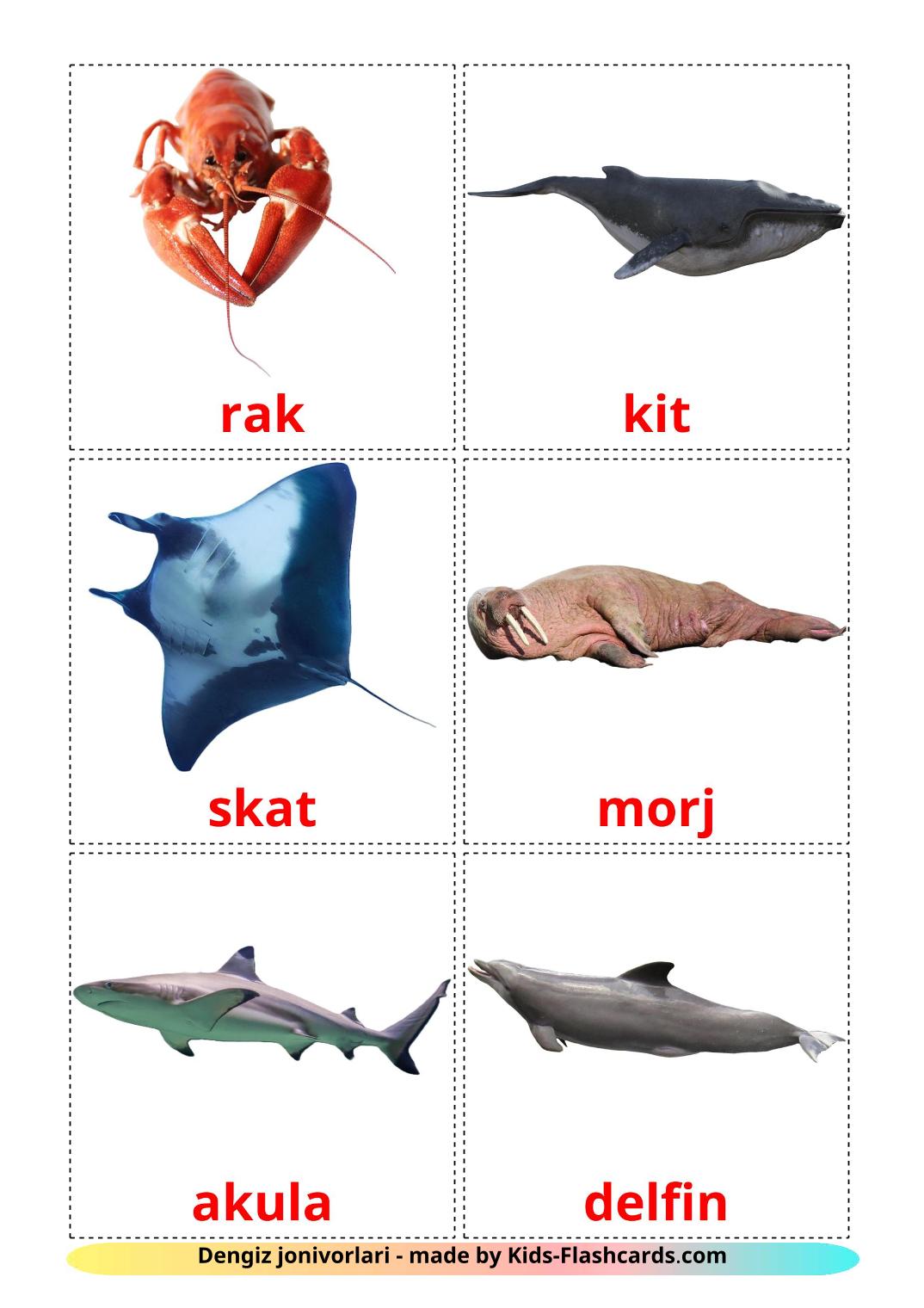 Sea animals - 29 Free Printable uzbek Flashcards 