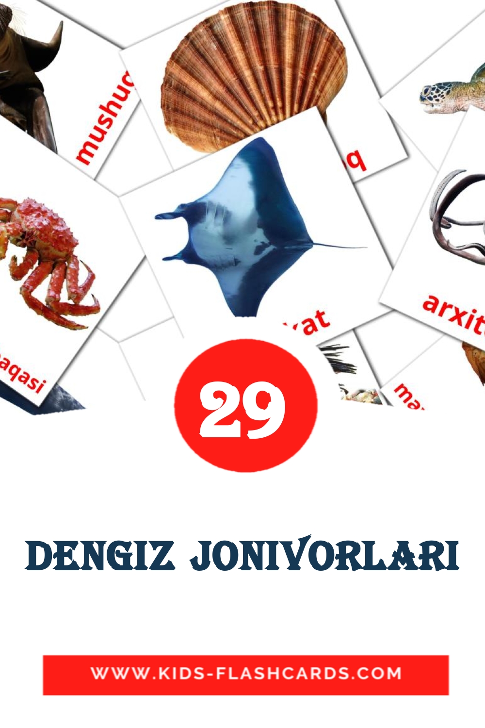 29 cartes illustrées de Dengiz jonivorlari pour la maternelle en ouzbek