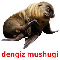 dengiz mushugi picture flashcards