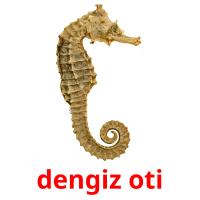 dengiz oti карточки энциклопедических знаний