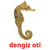 dengiz oti Bildkarteikarten