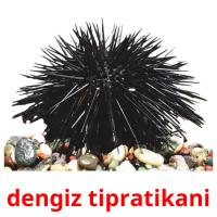 dengiz tipratikani card for translate