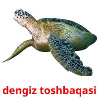 dengiz toshbaqasi card for translate
