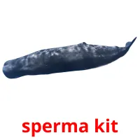 sperma kit Bildkarteikarten