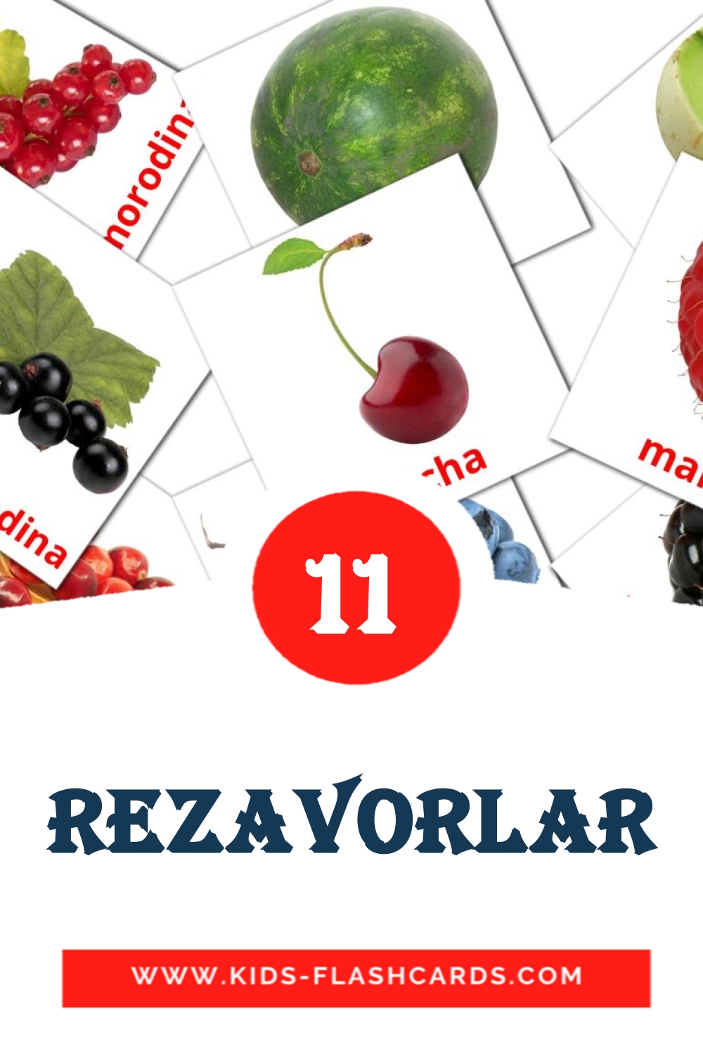 11 rezavorlar Picture Cards for Kindergarden in uzbek