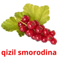 qizil smorodina cartões com imagens