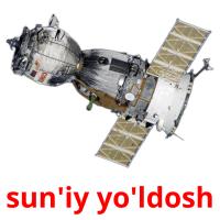 sun'iy yo'ldosh card for translate