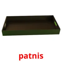 patnis picture flashcards