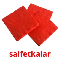 salfetkalar picture flashcards