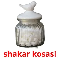 shakar kosasi picture flashcards