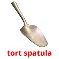 tort spatula card for translate