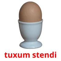 tuxum stendi picture flashcards