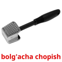 bolg'acha chopish flashcards illustrate