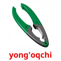 yong'oqchi flashcards illustrate